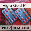 Vigra Gold Pill 05